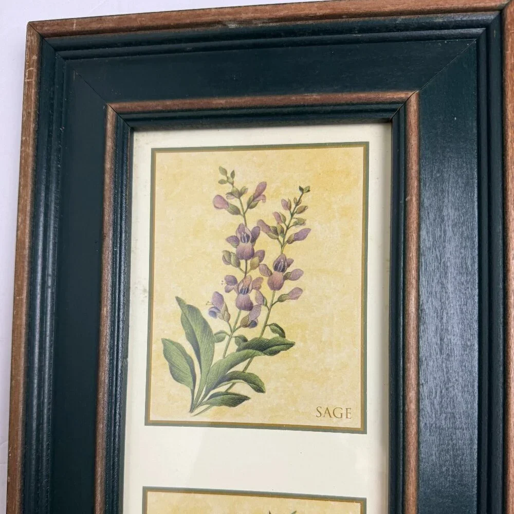 Vintage Country Style Picture Featuring Herbs Wall Decor Set of 2 Botanical ART